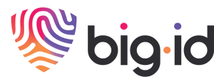 BigID logo